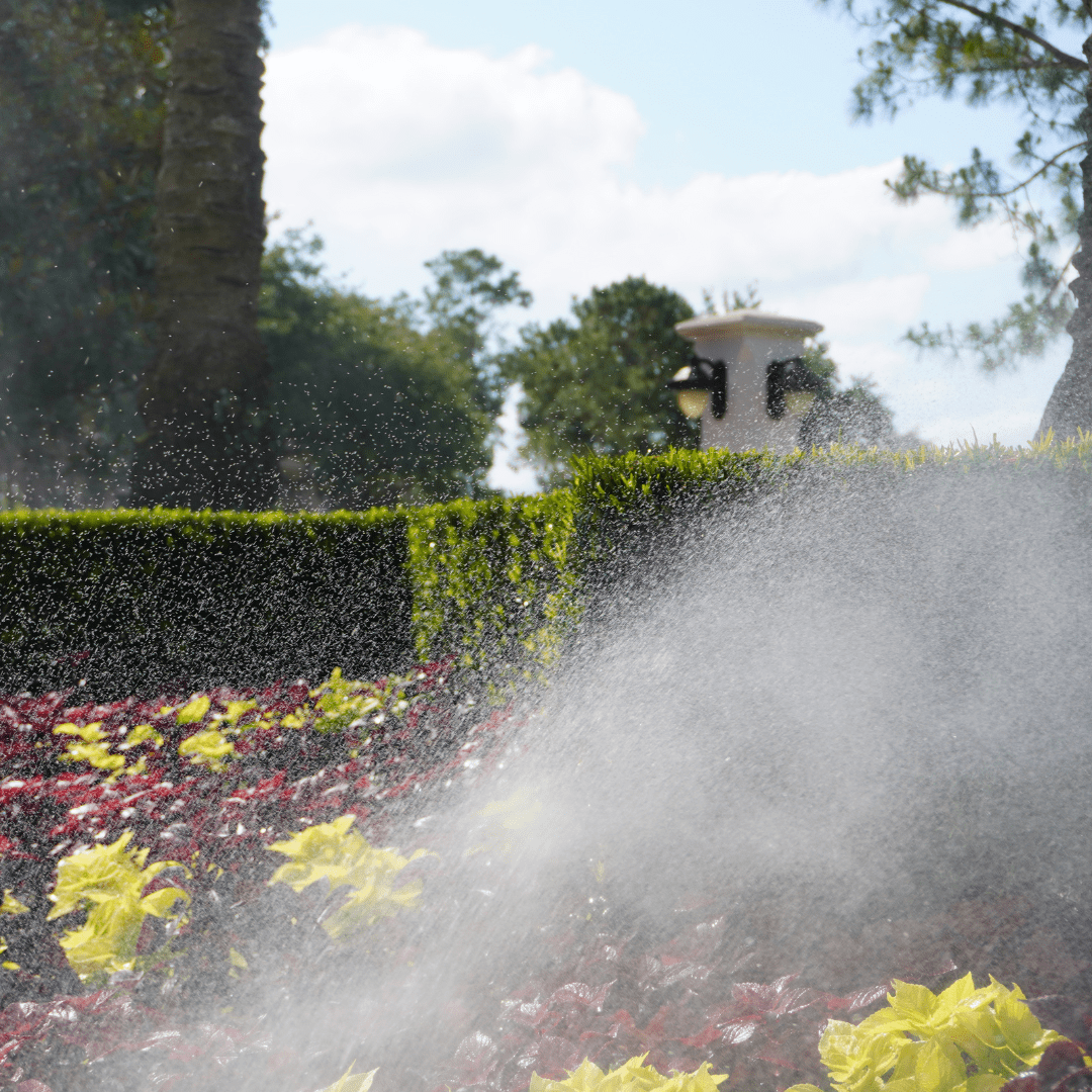 a sprinkler spraying water on flowers in a garden