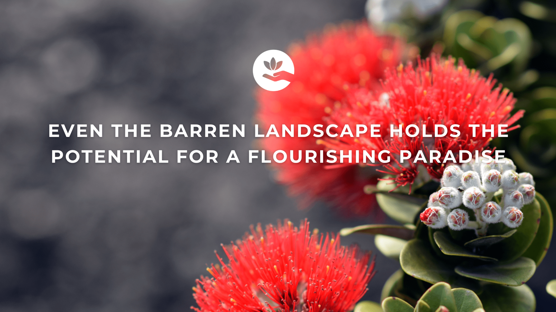 Even the barren landscape holds the potential for a flourishing paradise