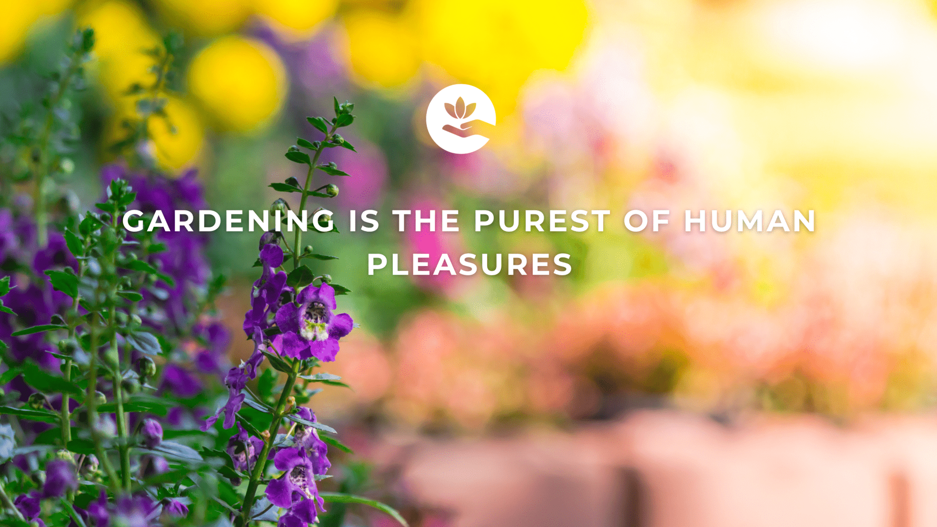 Gardening is the purest of human pleasures.