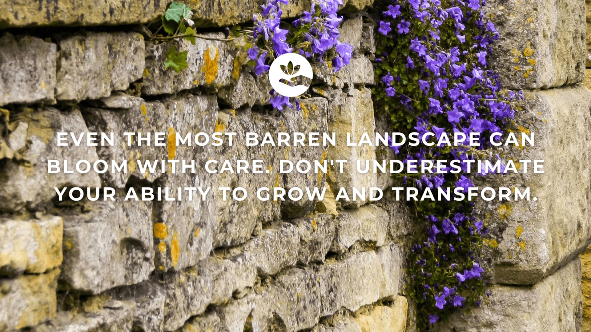 even the most barren landscape can bloom with care. Don't underestimate your ability to grow and transform