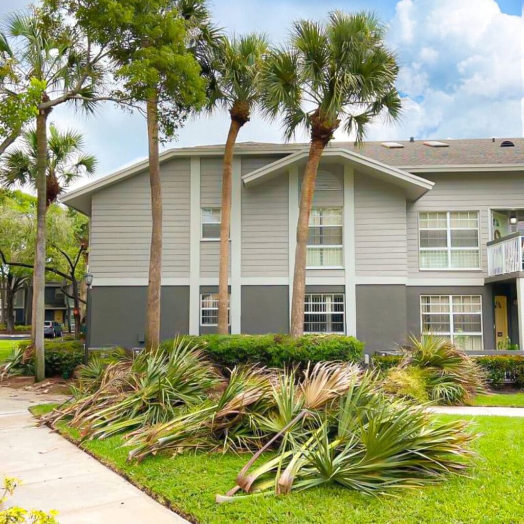 a house with palm trees in front of it