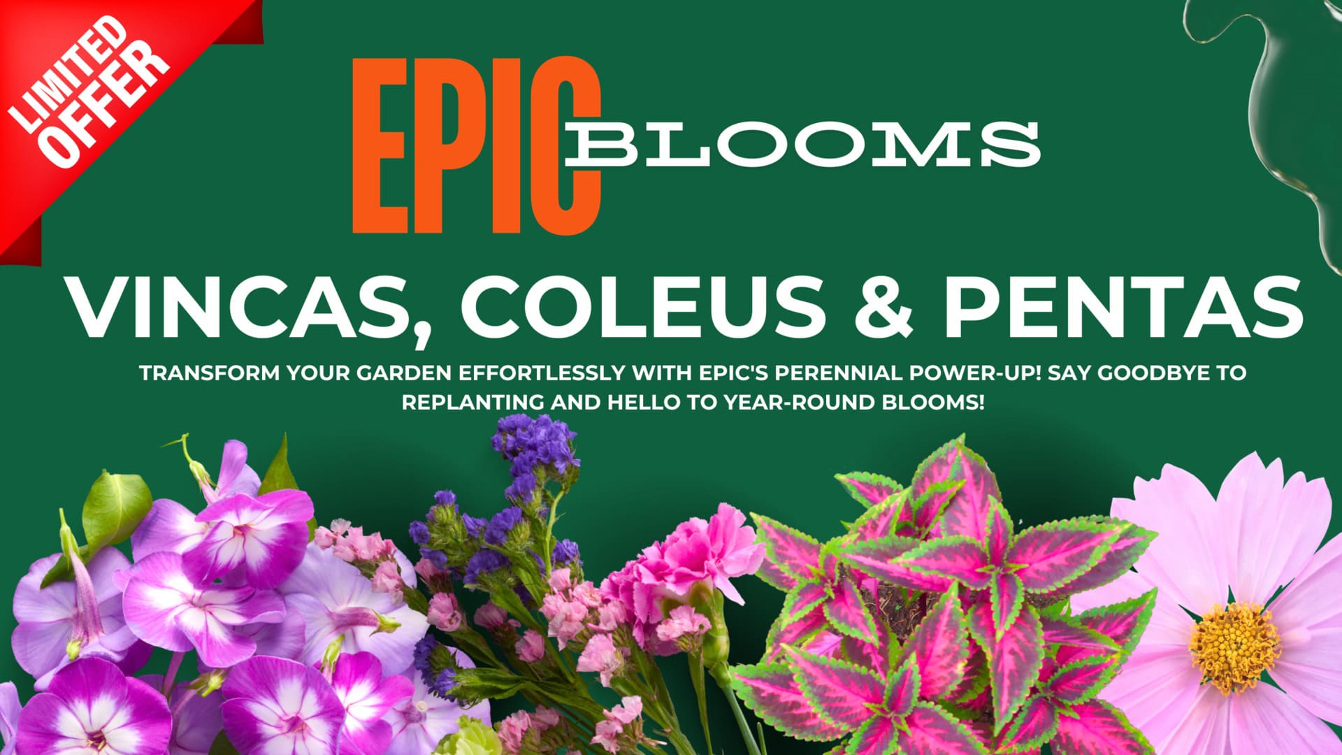 Limited offer. EPIC blooms. Vincas, coleus & pentas. Transform your garden effortlessly with EPIC's perennial power-up! Say goodbye to replanting and hello to year-round blooms!